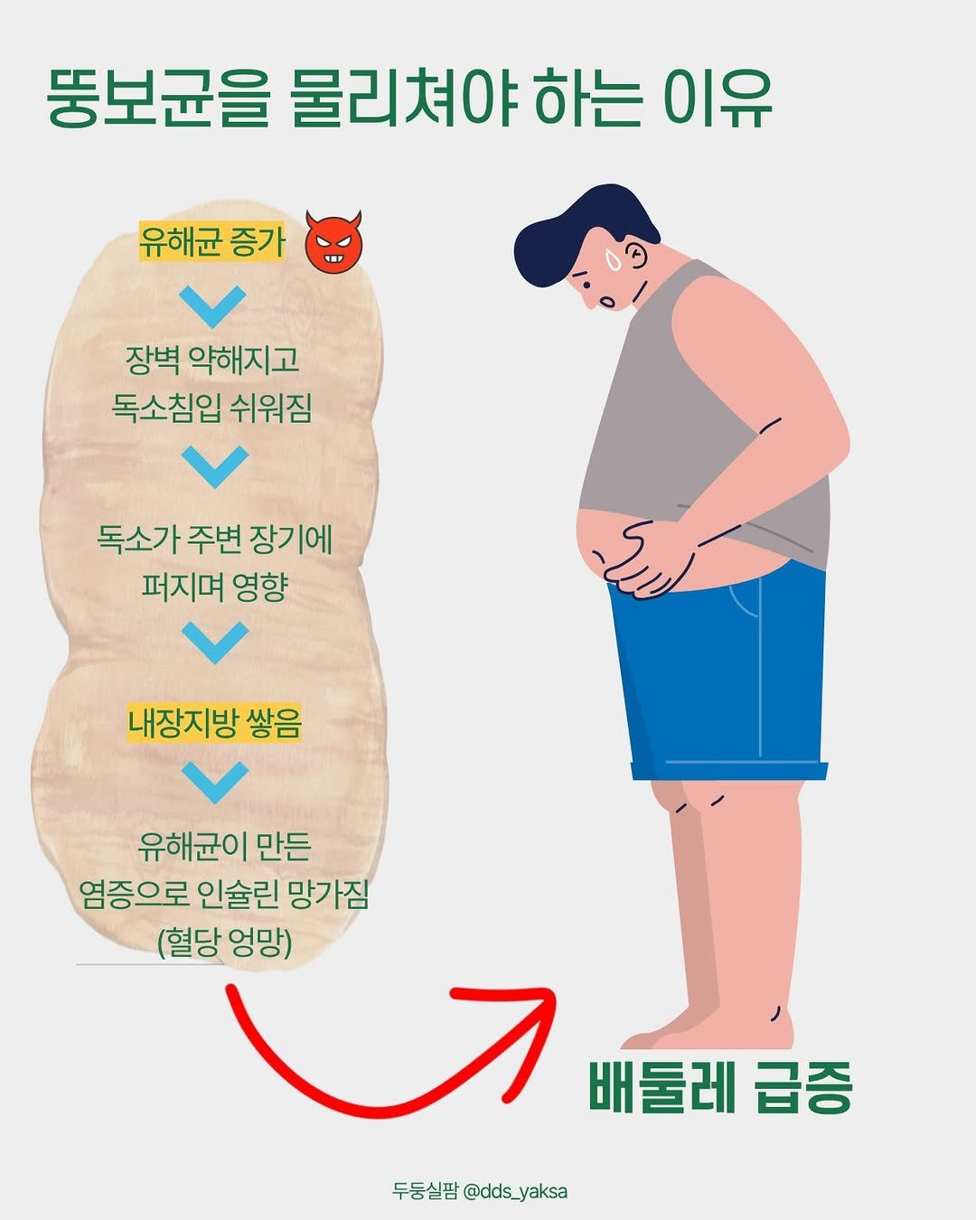 dds_yaksa 게시물 이미지: 뚱보균! 왜 관리해야할까요?⭐️

뚱보균이 유익균보다 많아지면➡️
왜 배둘레부터...