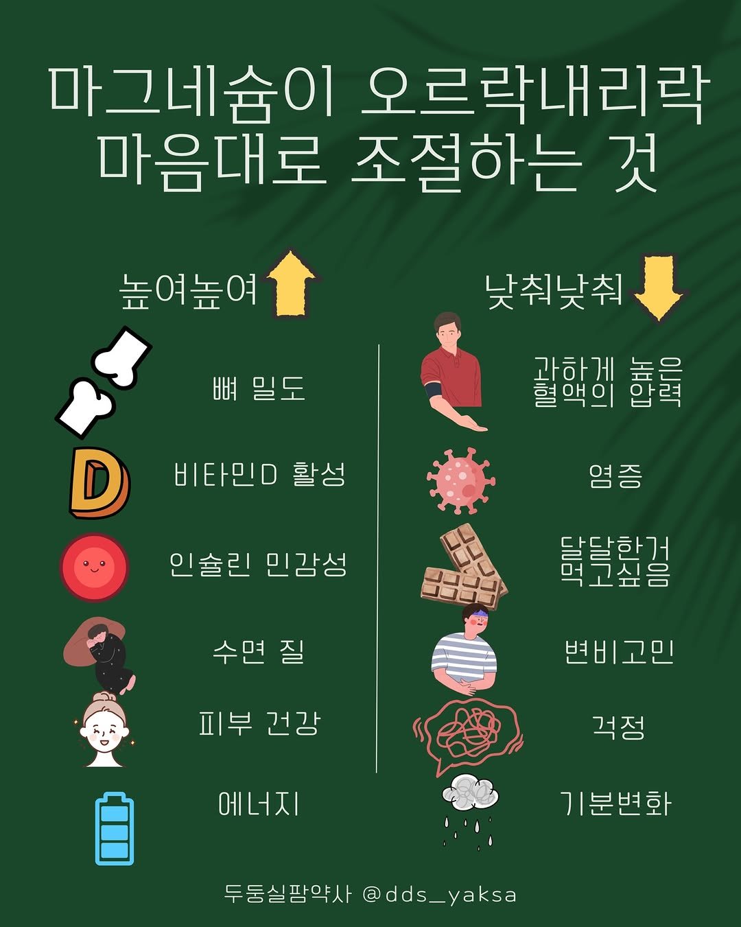 Photo by 두둥실팜 신유진 약사 on January 13, 2026. May be an image of poster and text that says '마그네슴이 오르락내리락 마음대로 조절하는 것 높여높여 뼈밀도 뼈 비타민D 활성 낮춰낮춰 과하게 괄하게 놀은 혈액의 염증 on 염증 KΟ 달탐한겅 인술린 민감성 수면질 피부 건강 변비고민 변비 고민 걱정 에너지 기분변화 두둥실팜약사 @dds_yaksa'.