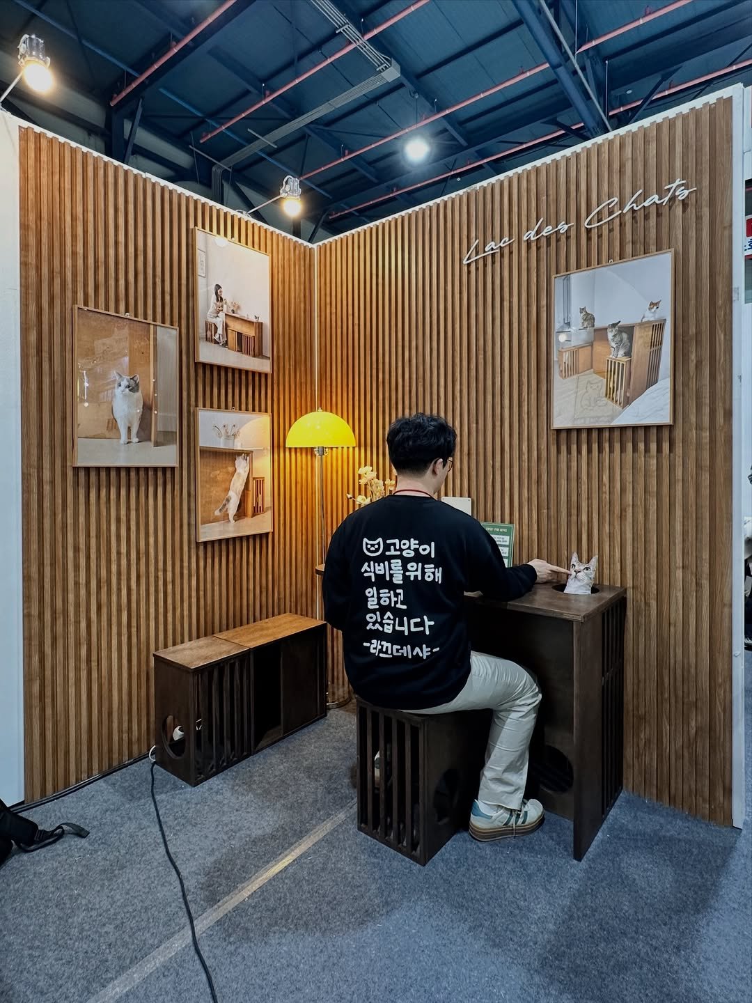 Photo shared by 뚜리뚜바랑 on December 05, 2025 tagging @lacdeschats. May be an image of woodwork, rack, bureau, cornflower, indoors and text that says 'Bhats 3u ២ 고양이 식비를위해 위해 식비를 일하고 있습니다 -라끄데샤-'.