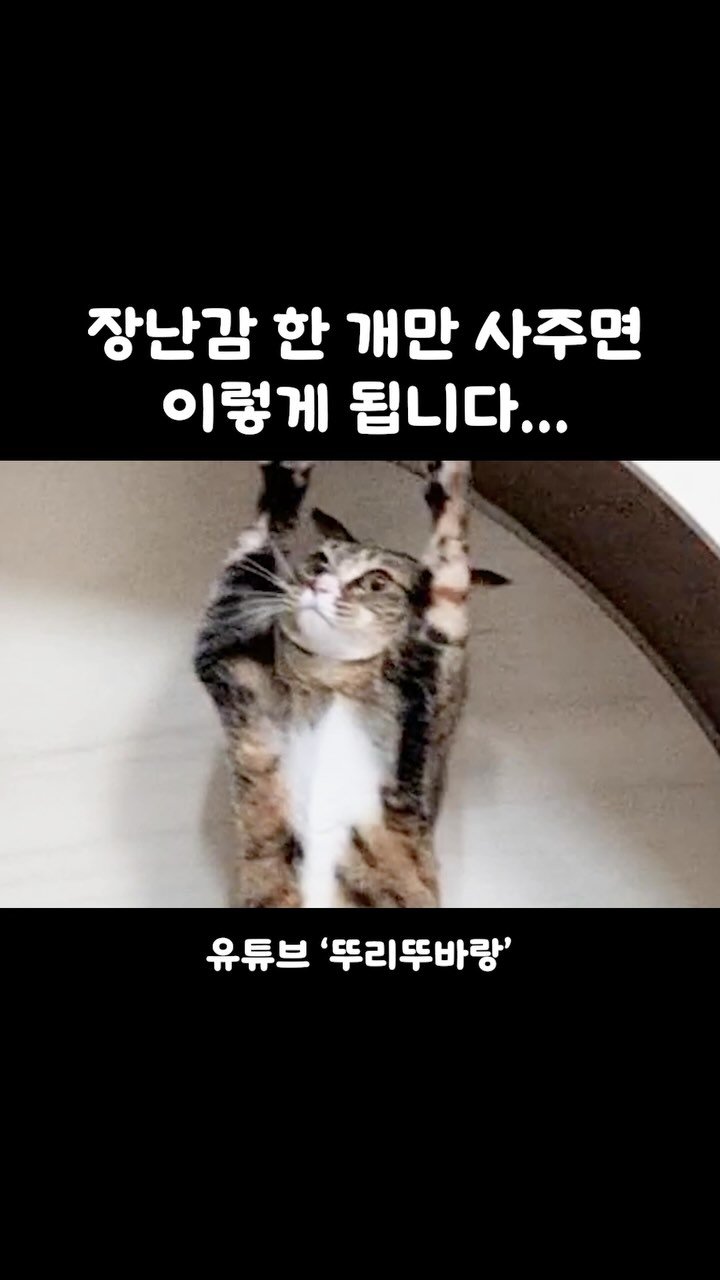 ddu_cat_family 게시물 이미지: [신상 굿즈 공지] 뚜하!! 
여러분 드디어 “돌아버린 키링”이 온라인에 출시...