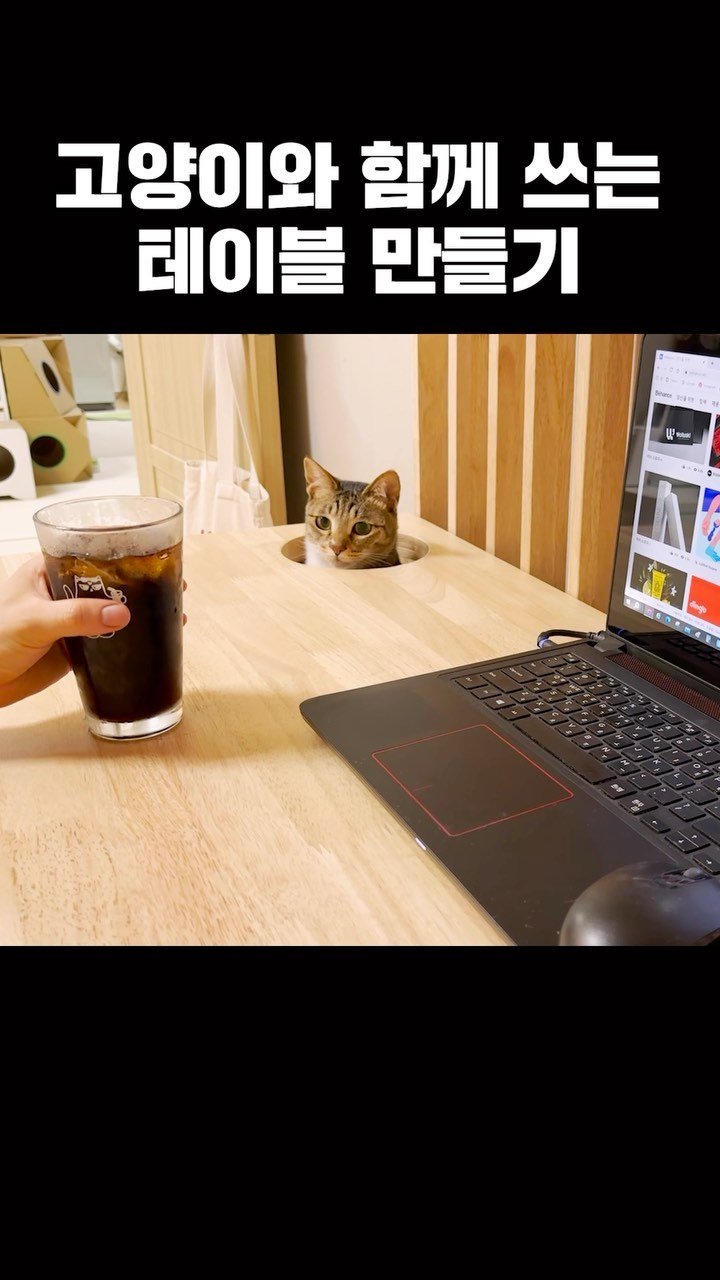 ddu_cat_family 게시물 이미지: 판매는 추후에 인스타 혹은 유튜브를 통해 공지해 드릴 예정입니다🙂
자세한 내용은...