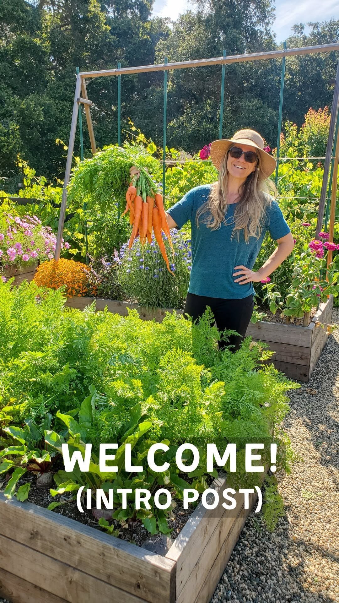 deannacat3 게시물 이미지: Hey, I’m Deanna 👋🏼 Here’s a little...