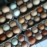 inthetrough 프로필 사진