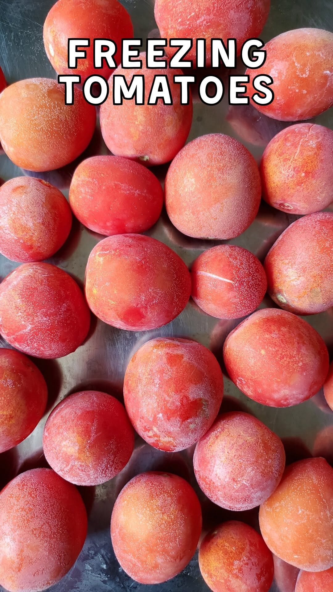deannacat3 게시물 이미지: Freezing whole fresh tomatoes 🍅💡 When you’re...