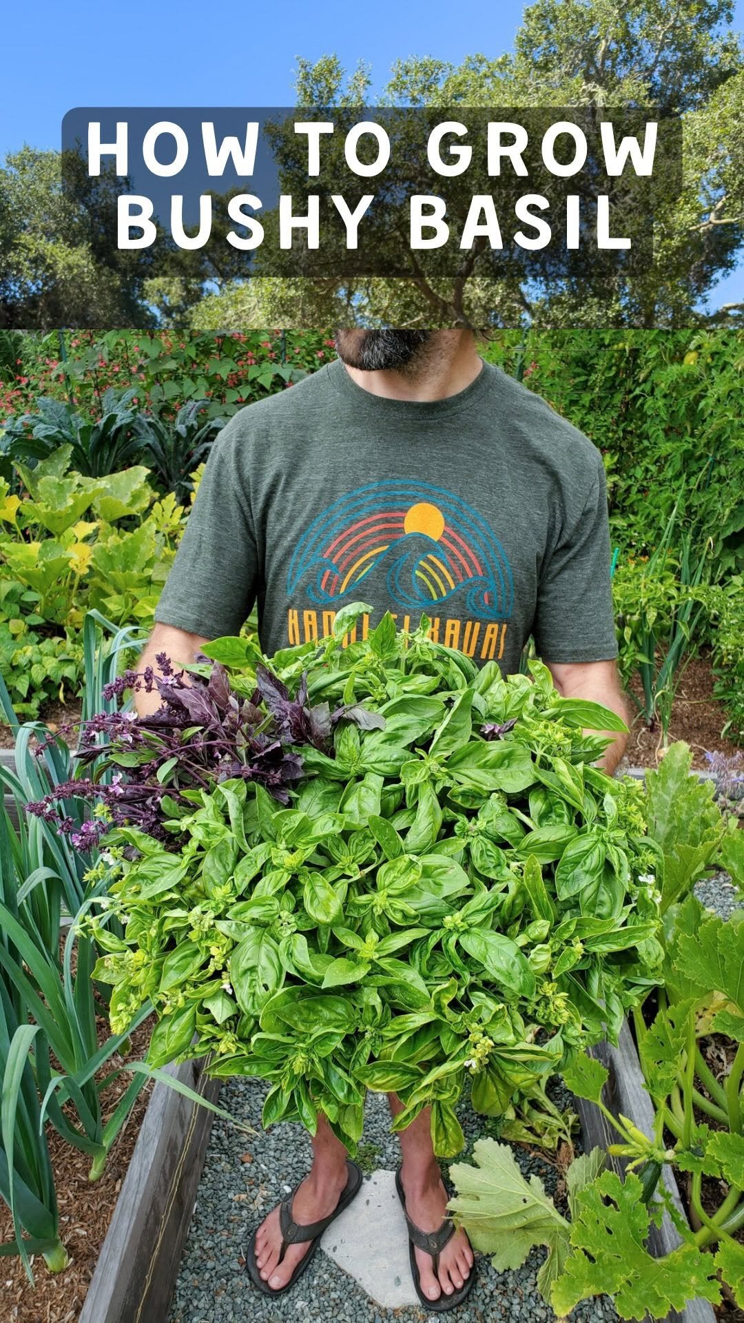 deannacat3 게시물 이미지: ✂️ Here’s your annual reminder to pinch your...