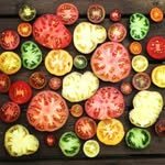 pnw_heirloom_seed 프로필 사진