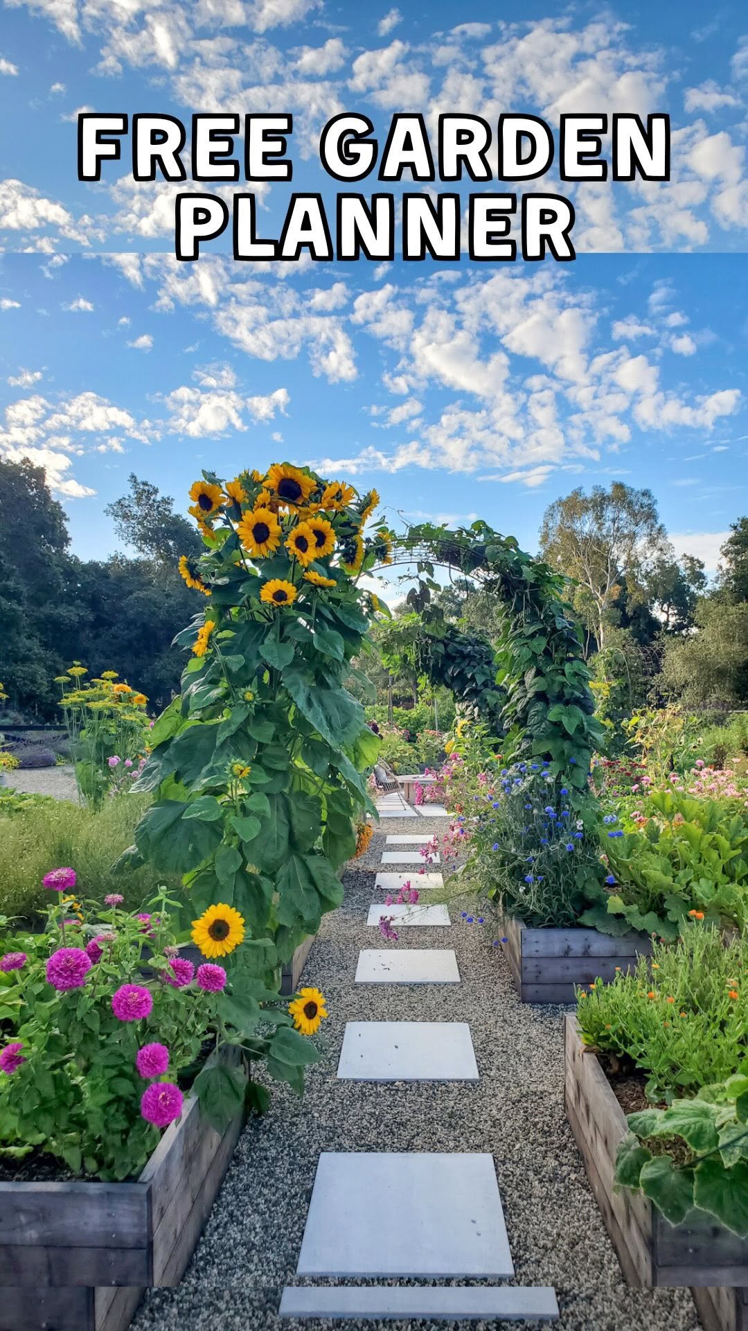 deannacat3 게시물 이미지: Spring is officially less than 60 days away,...