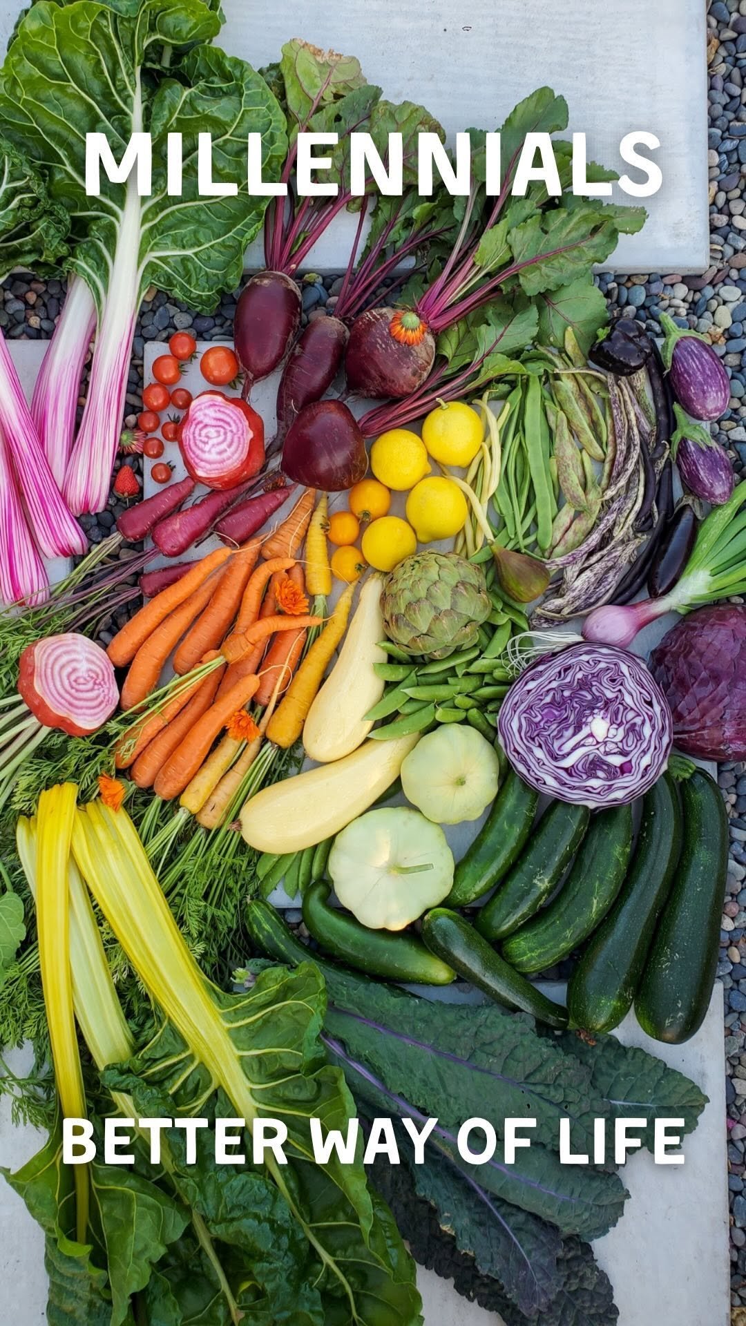 deannacat3 게시물 이미지: 🍃 Living this way, we rarely leave the...