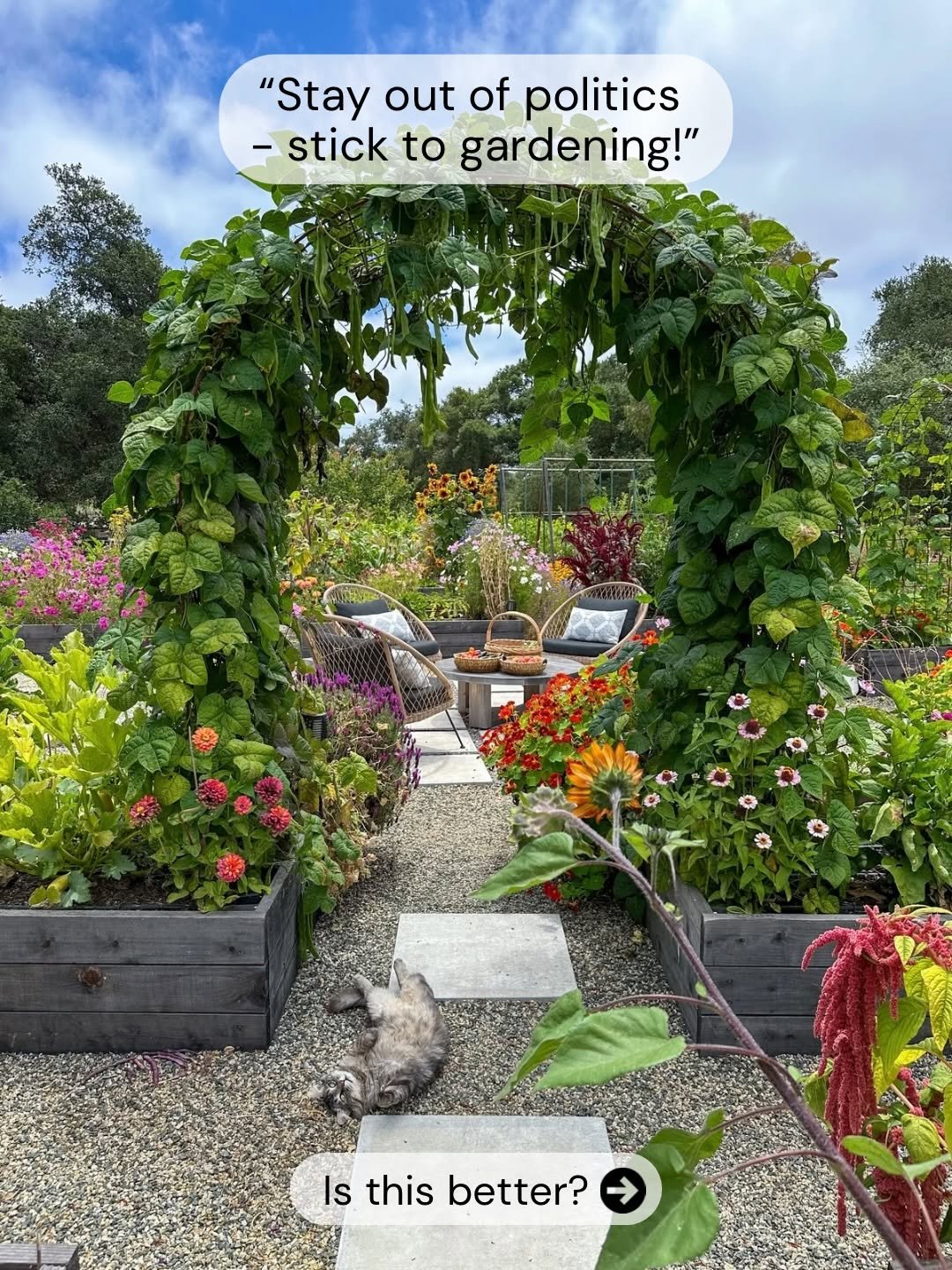Photo by Deanna Talerico | Homestead and Chill on January 29, 2026. May be an image of plant and text that says '"Stay out of politics -stick to gardening!" Is this Isthisbetter? better?'.