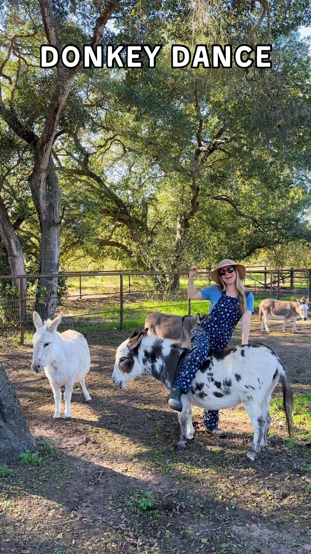 deannacat3 게시물 이미지: I mean, can you blame them for running?...