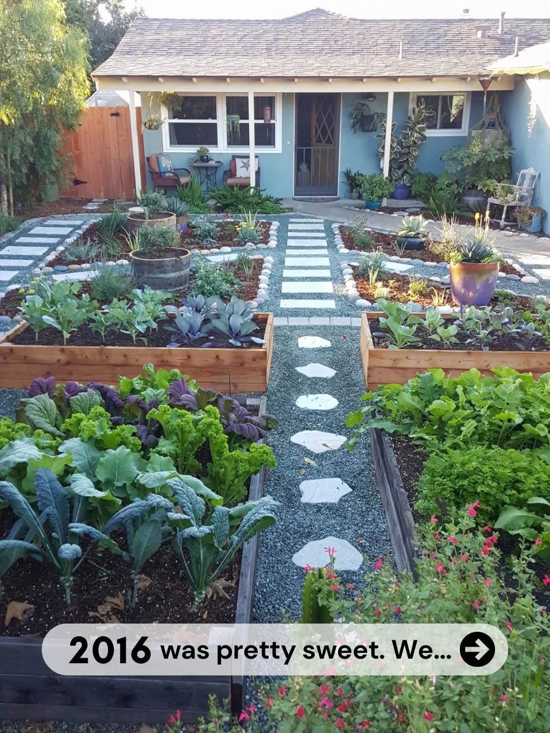 Photo by Deanna Talerico | Homestead and Chill on January 16, 2026. May be an image of collard greens, chard and text that says '2016 wasprettysweet.W... was pretty sweet. We...'.