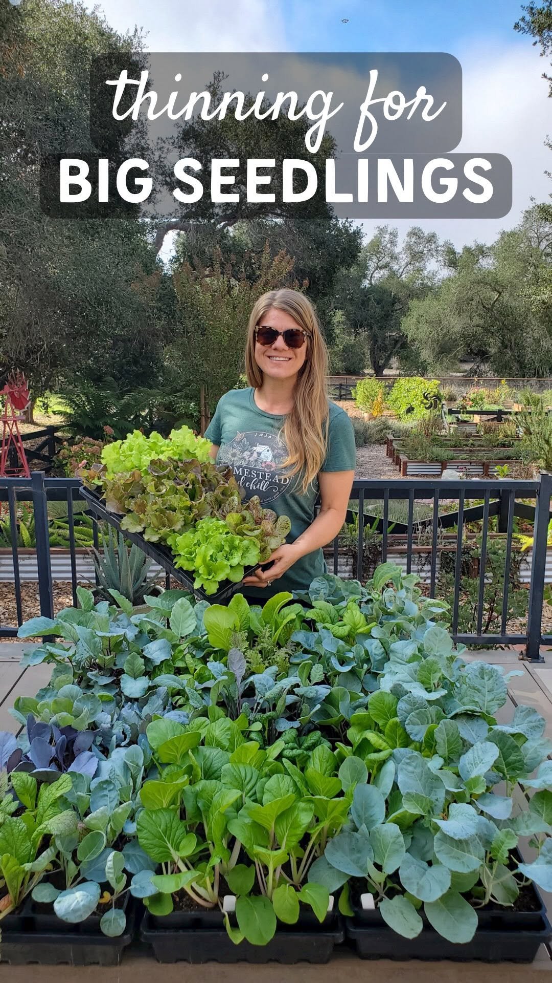 deannacat3 게시물 이미지: 🌱 Thinning is winning 🙌🏽 I always thin my...