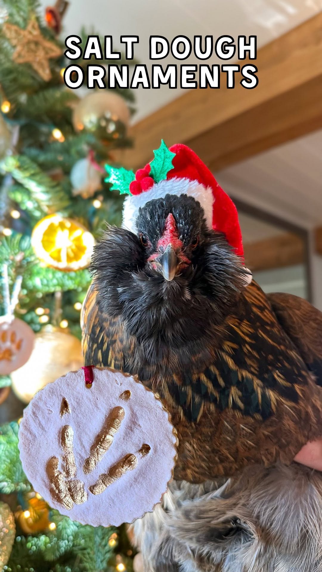 deannacat3 게시물 이미지: 🎄Easy Salt Dough Ornaments Recipe...