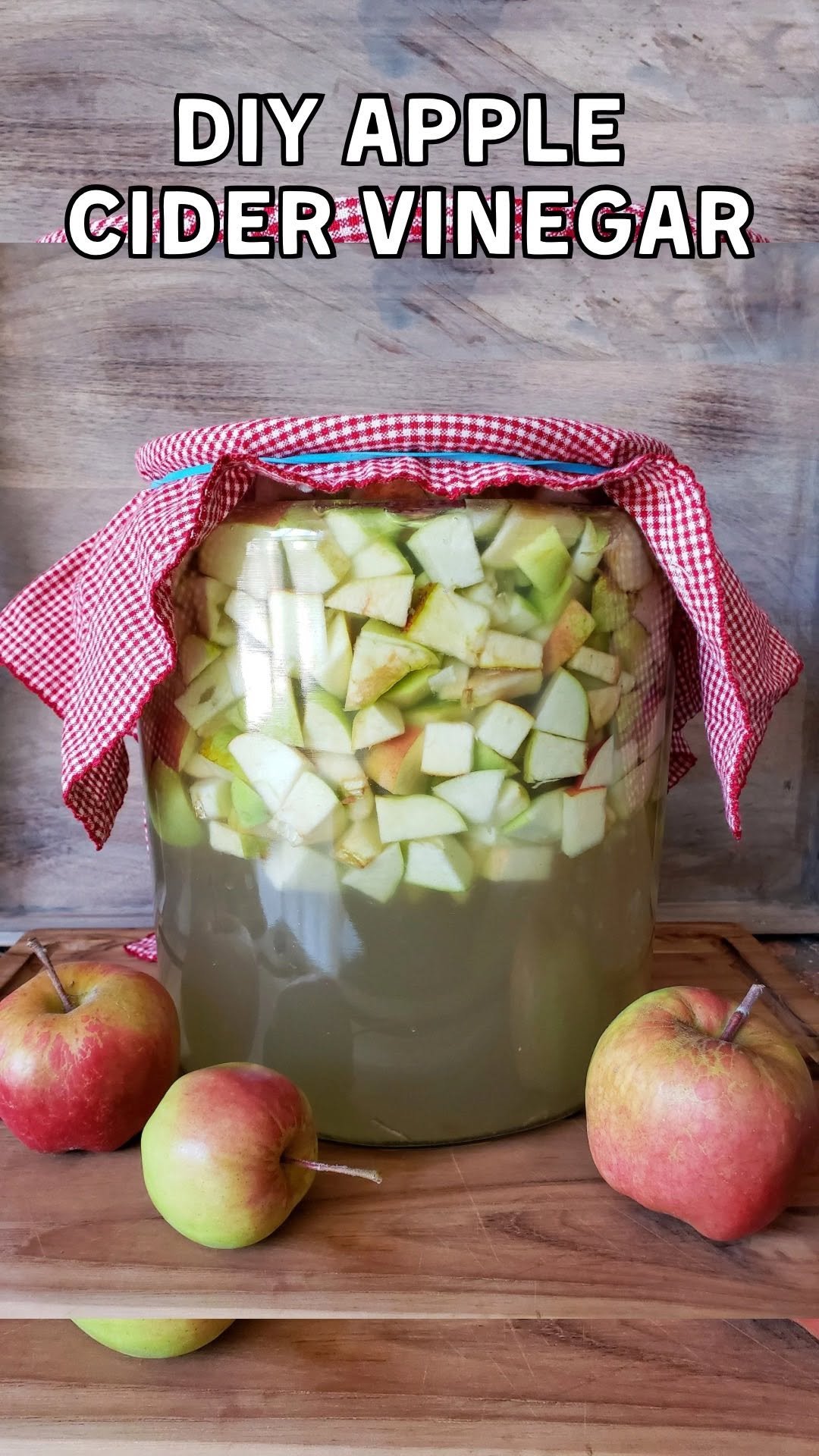 deannacat3 게시물 이미지: 🍎 DIY apple cider vinegar recipe👇🏼Save for...