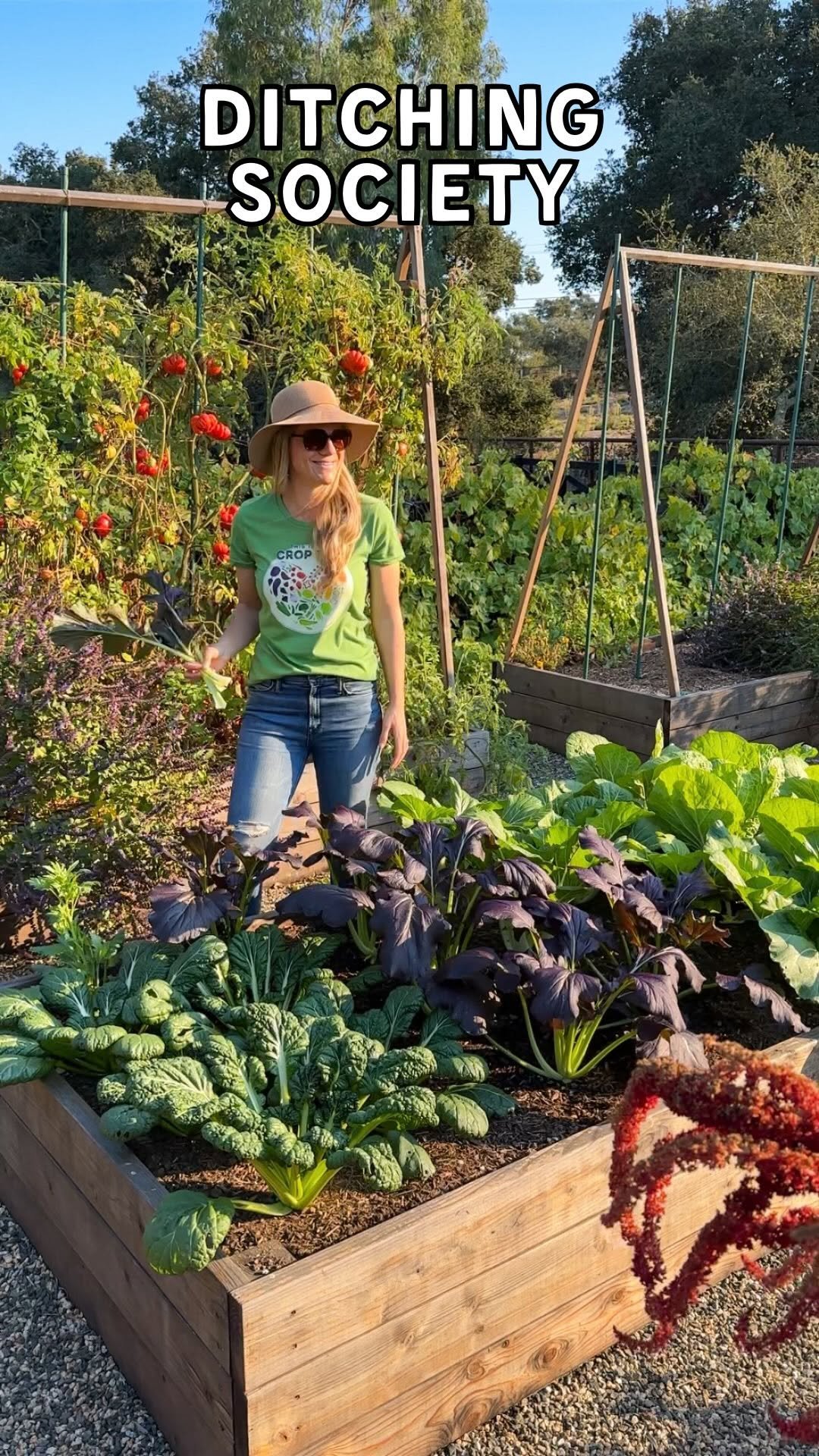 deannacat3 게시물 이미지: Who’s with me? 🙋🏼‍♀️😅 I shared a similar reel...