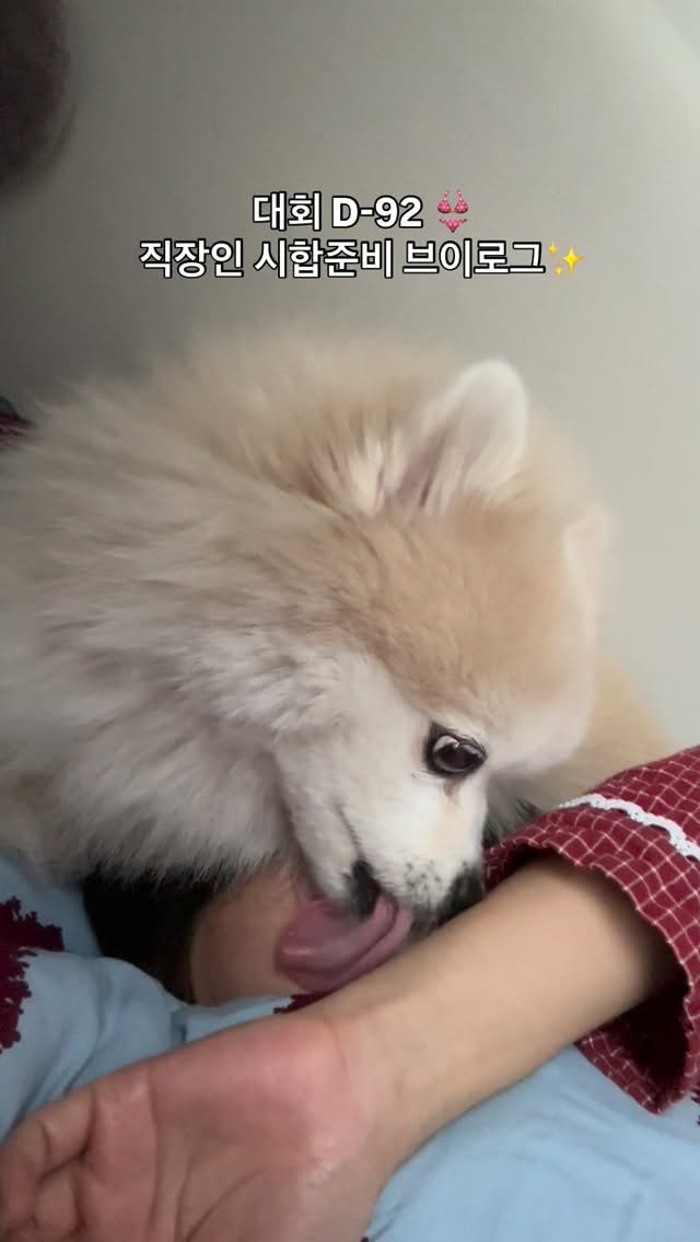 dear__mare 게시물 이미지: 시합 준비하는 직장인의 쳇바퀴 같은 하루..
앞으로 운동 시간도 더 늘려야...