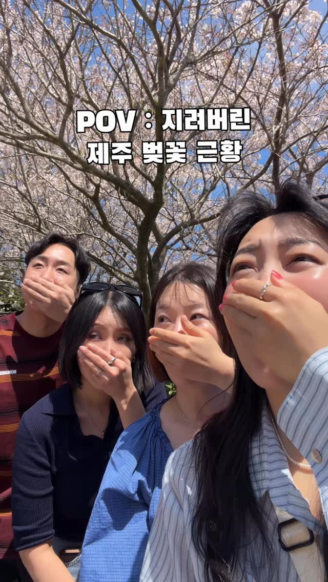 dearrsummer 게시물 이미지: 많이 지림 주의🌸

#벚꽃놀이#제주벚꽃