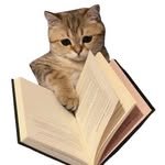 hipster__egg 프로필 사진