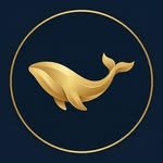 deepdive.kr 인스타그램 프로필 사진