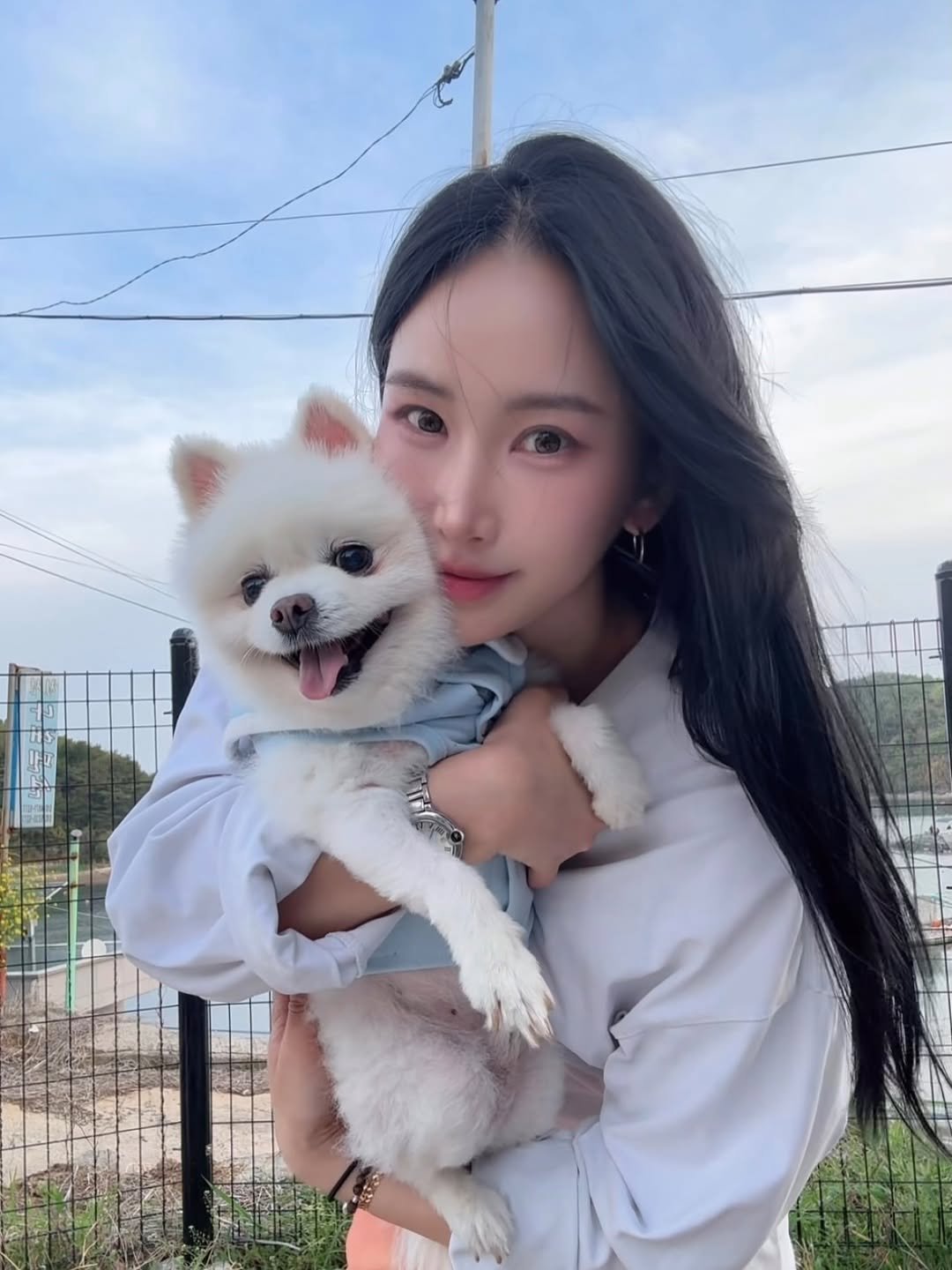 deer__mi 게시물 이미지: 나의 영원한 애기 요미랑 둘이여행🩵 또가자 내시끼