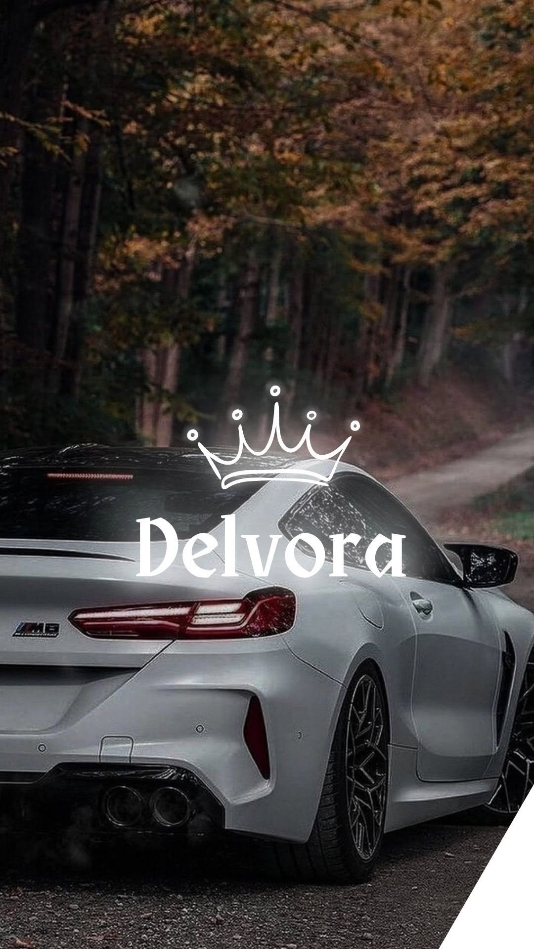 delvora_official 게시물 이미지: Pure german power ❄️

-
-

📸: @rannked...