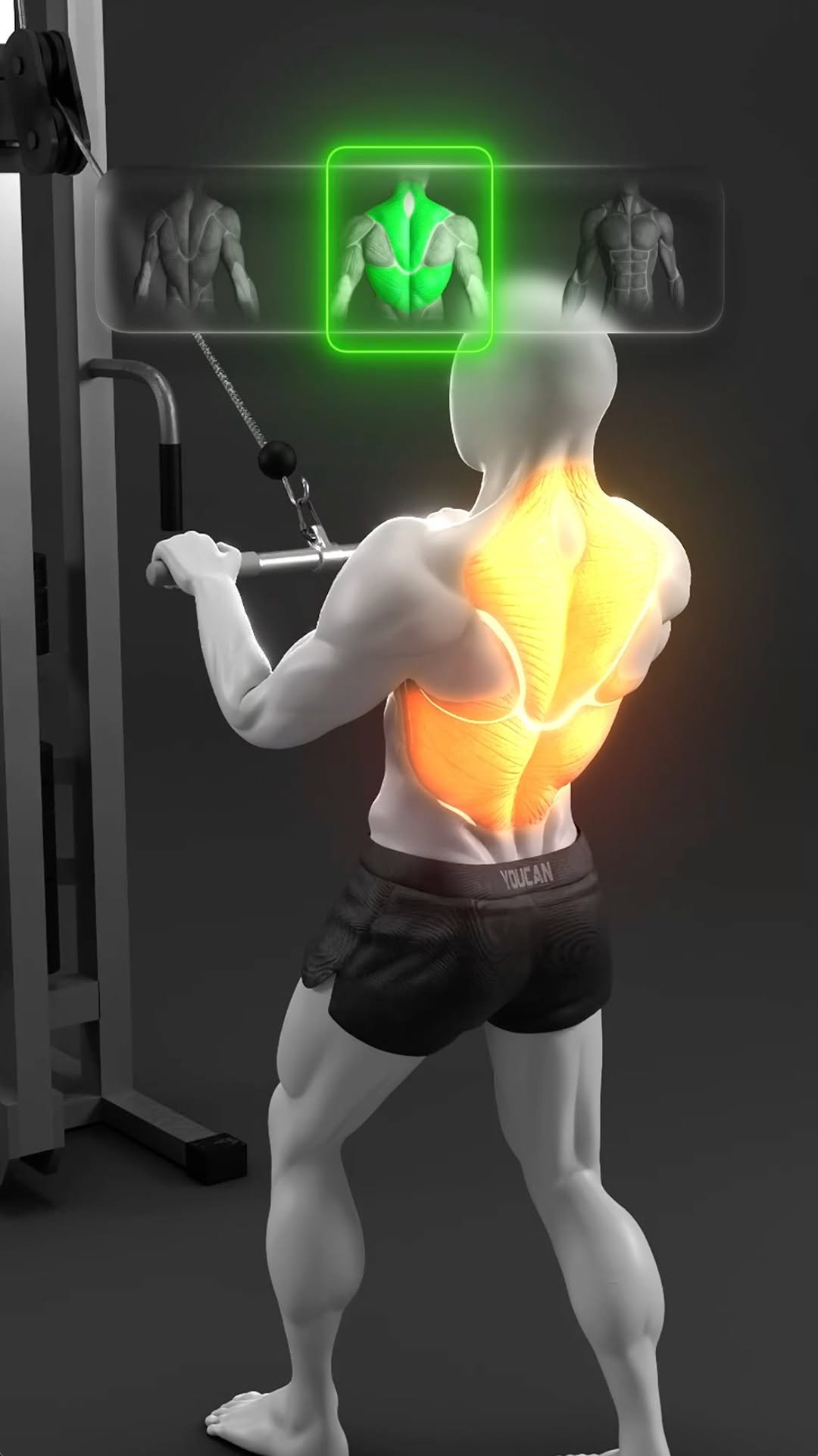 demicstory 게시물 이미지: 🔥 Cable Exercises That Look Similar but Train...
