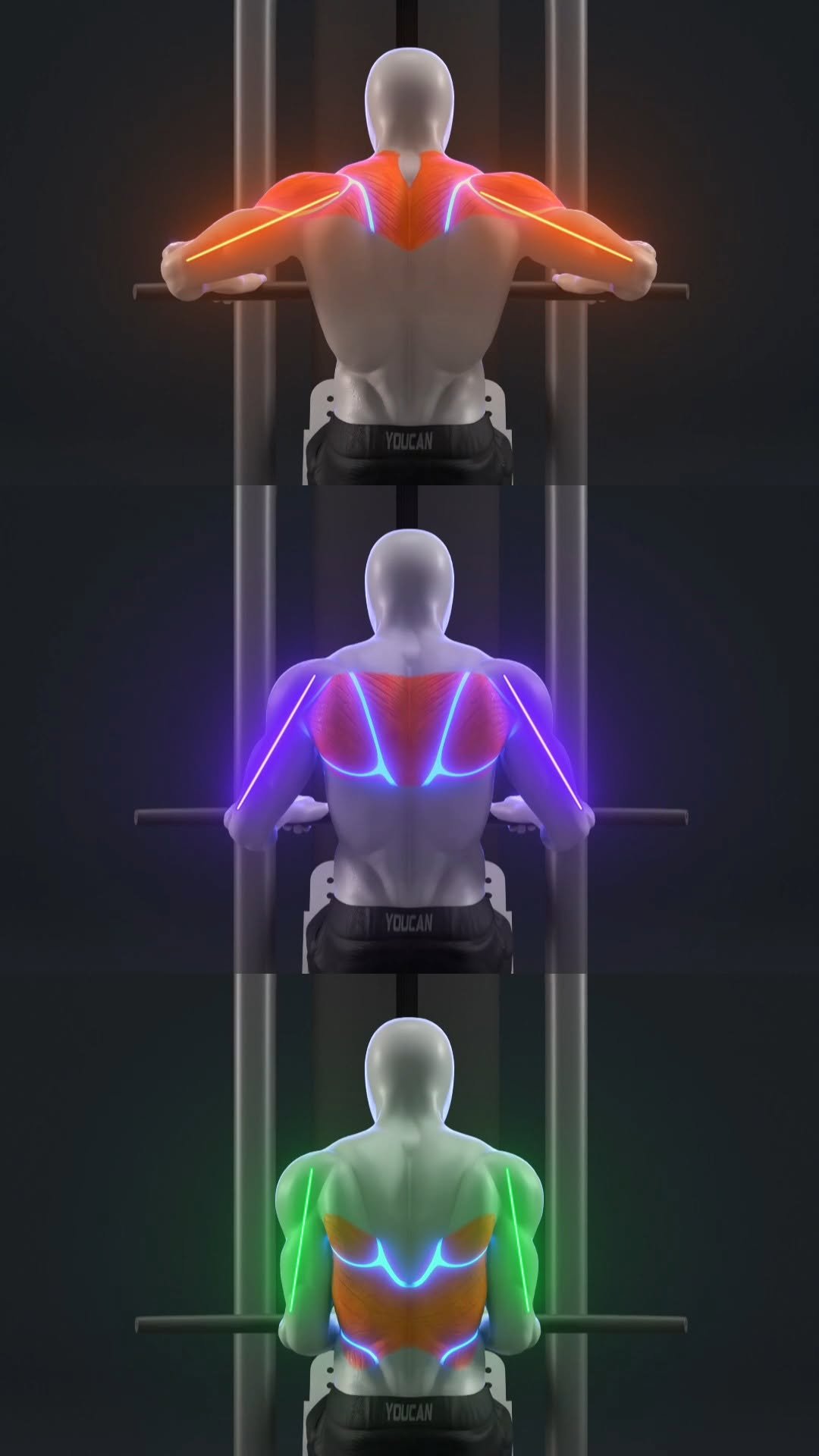 demicstory 게시물 이미지: 🔥 Upper Back, Mid Back, or Lower Back? Your...