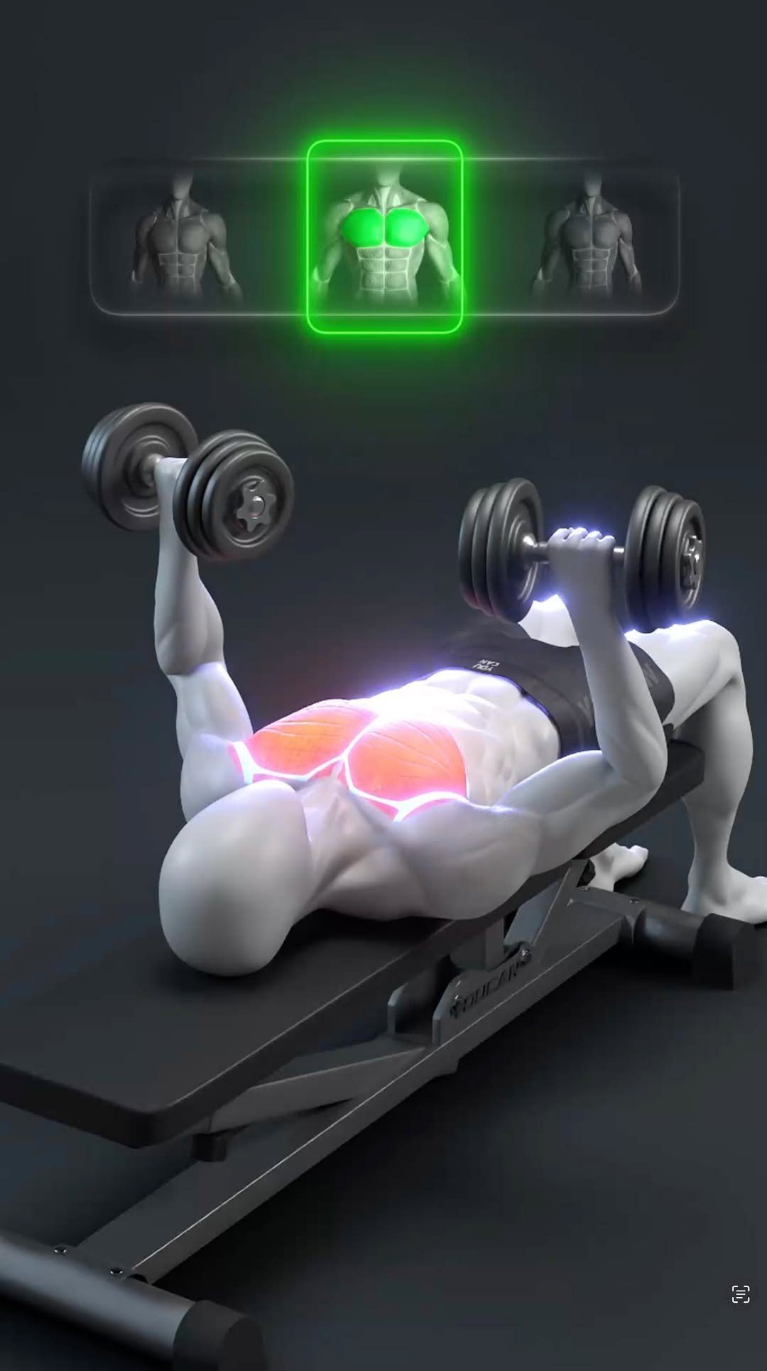 demicstory 게시물 이미지: 🔥 The Perfect Chest + Triceps Workout Explained