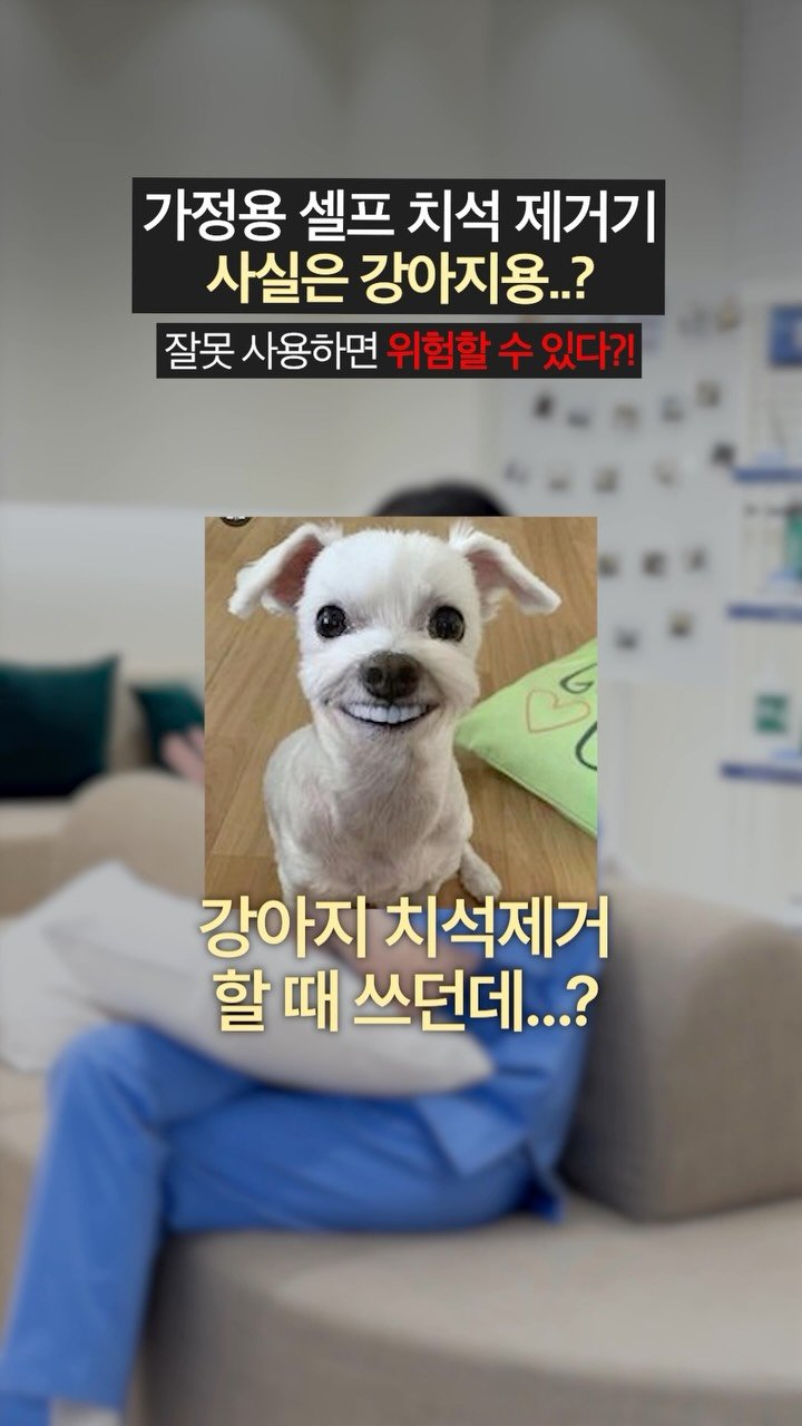 dentist_sujin 게시물 이미지: 얼마나 치과 오기 싫은지 감도 안오는…😂😂 
우리나라 건강보험 좋은데 충분히...