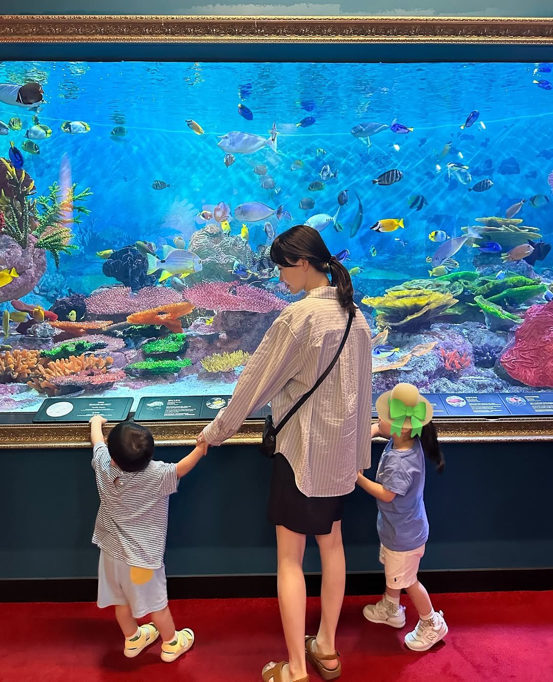 Photo by 권수진 | 치과의사 | 치아교정, 인비절라인 | 연년생 엄마 on August 03, 2025. May be an image of 3 people, baby, aquarium and text.