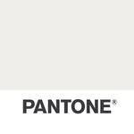 pantone 프로필 사진