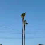 to.airplanemode 프로필 사진