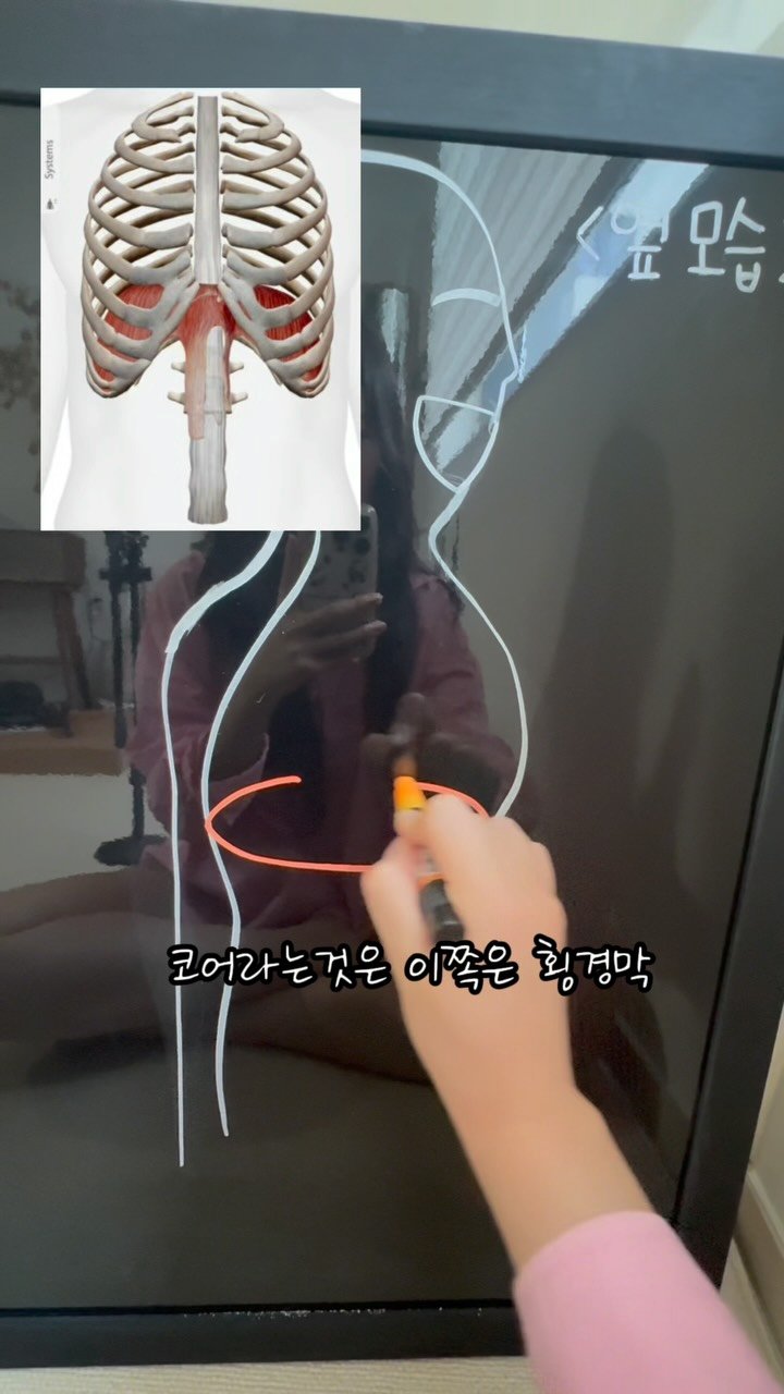 dewlike_this 게시물 이미지: 넓은 흉곽을 고치고 싶다면
코어를 알아야해요💦
코어라는 것은
위에는 횡경막
앞과...