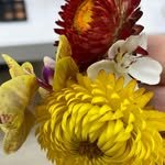 oohsehun 프로필 사진