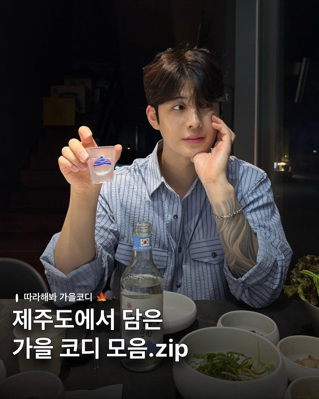 Photo shared by 디멘트 on September 23, 2025 tagging @dhgod. May be an image of 1 person and text that says '따라해봐 가을코디 제주도에서 담은 가을 코디 모음 음.zip'.