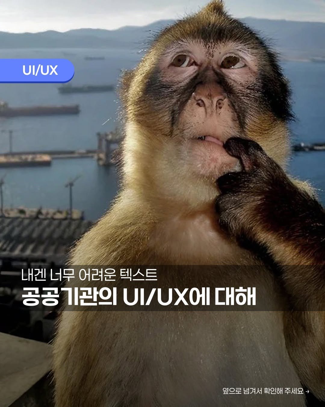 입가에 검지 손가락을 대고 잘 모르겠다는 표정을 한 원숭이 사진을 배경으로 "내겐 너무 어려운 텍스트, 공공기관의 UI/UX에 대해"라는 제목이 적혀있다.