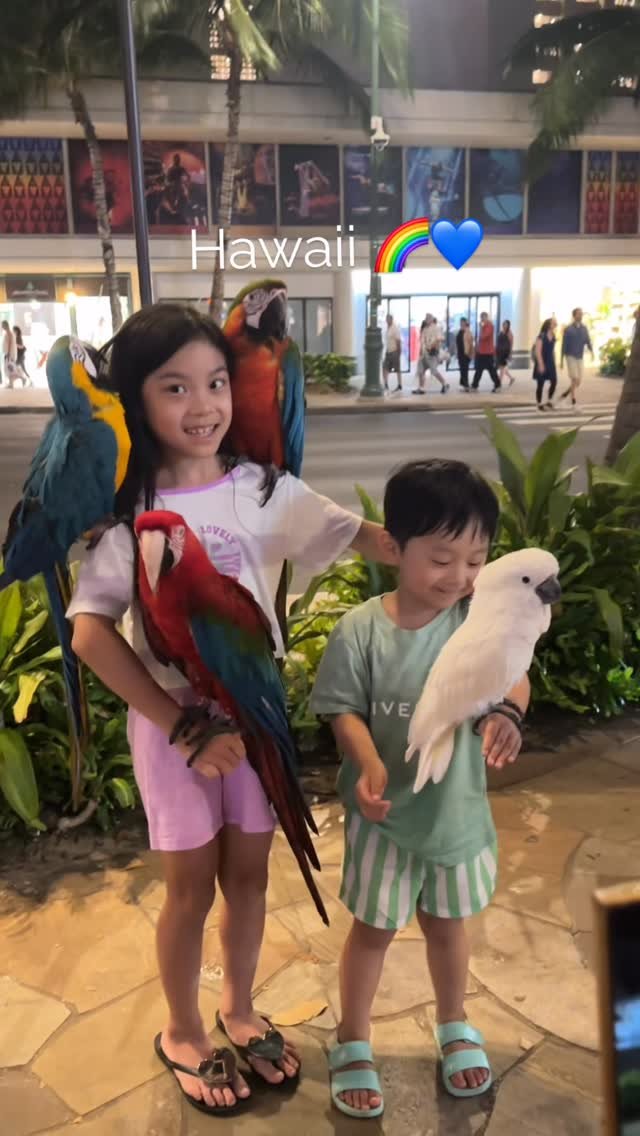 diana_park0116 게시물 이미지: 와이키키 밤산책 아이들 너무 즐거워하네🩷
길거리에서 🦜#앵무새체험 아이들이 너무...