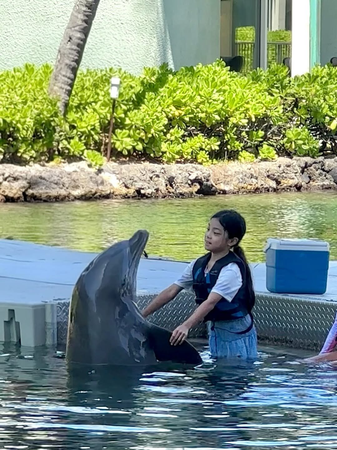 Photo by 다이애나 on August 06, 2025. May be an image of 1 person, dolphin and text.