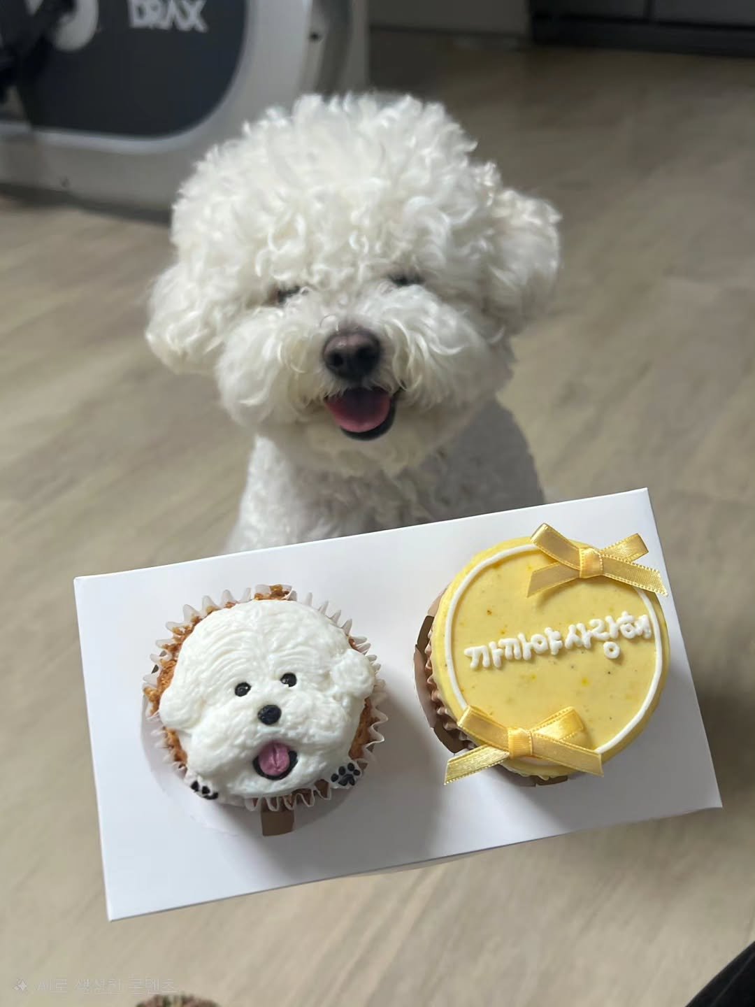 didim_1st 게시물 이미지: 🐶🐶🐶
내 생일은 안챙기지만
너 생일은 축하해 까까야🩷
개팔자가 상팔자😆