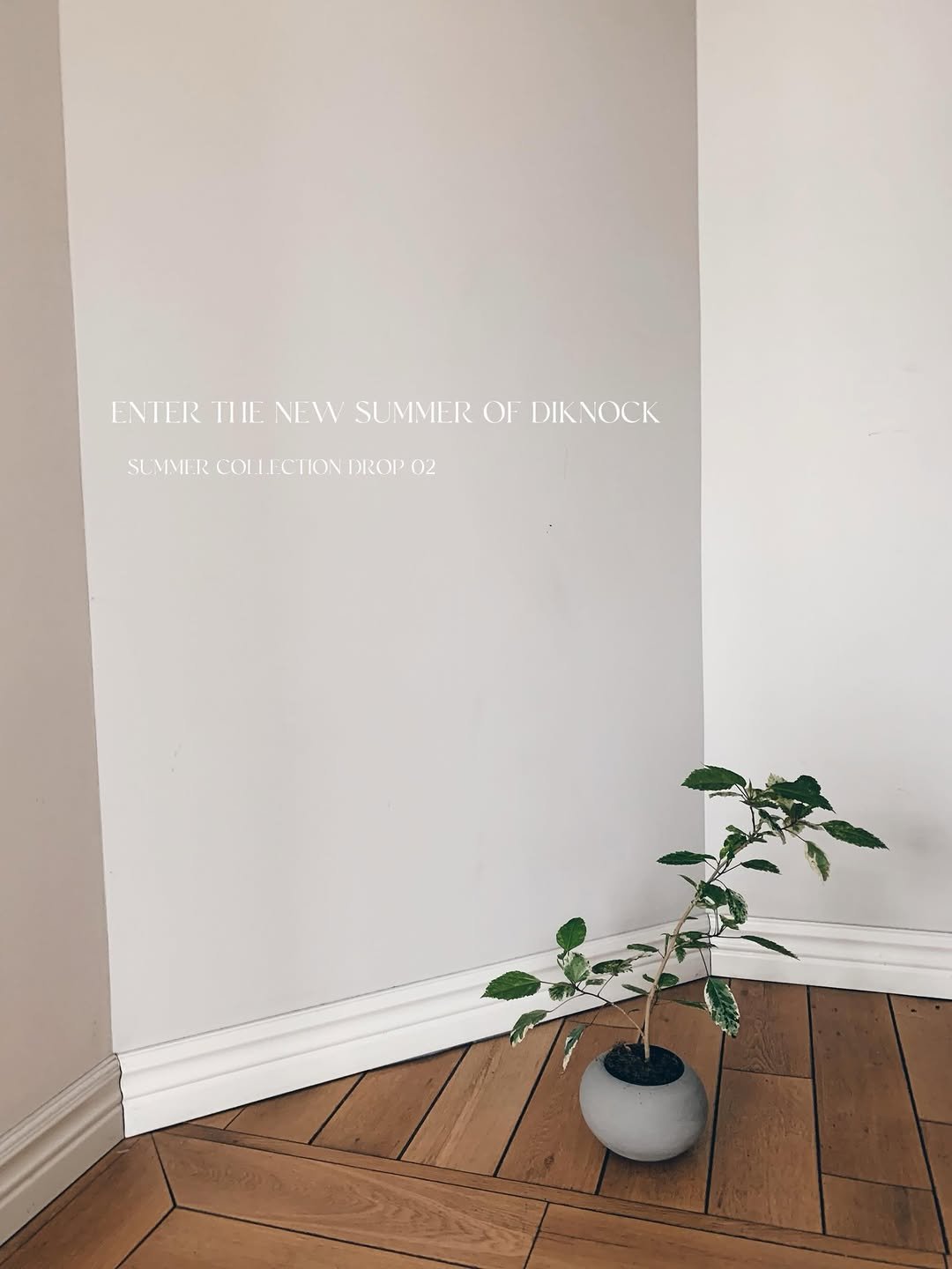 diknock 게시물 이미지: ENTER THE NEW SUMMER OF DIKNOCK