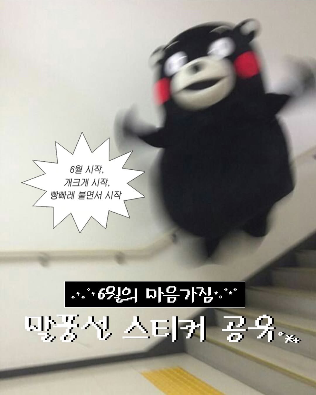 Photo by 띵동걸♪⁺ DING DONG GILR on June 01, 2025. May be an image of bear.