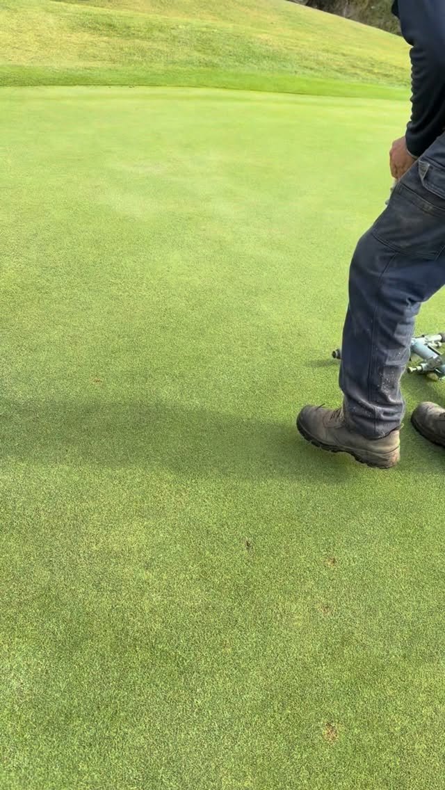 dint.golf.solutions 게시물 이미지: A greenkeeper taught me this 🤯🤯