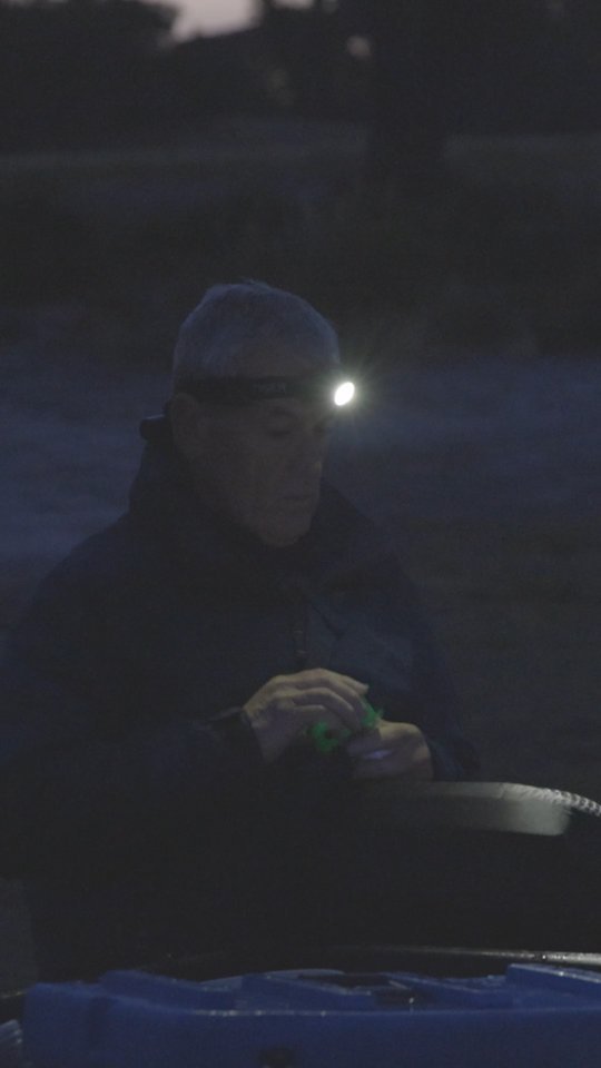 dint.golf.solutions 게시물 이미지: You all wanted to know the speed of the...