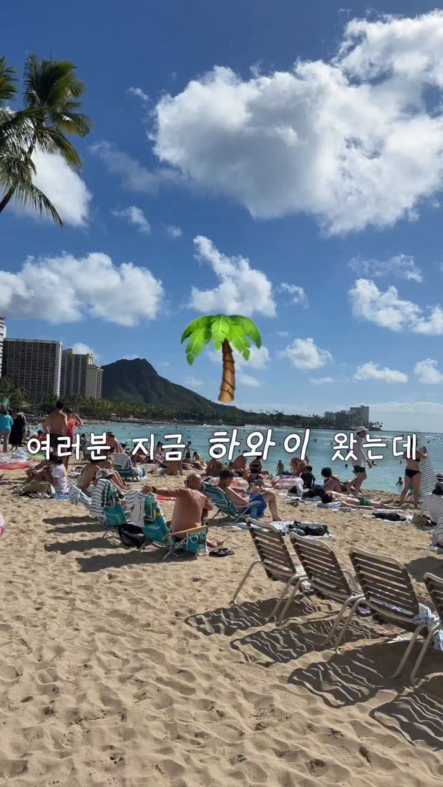 dioar_ceo 게시물 이미지: 여러분 저 지금 하와이에 왔는데
날씨가 진짜 너무 좋아요 🌴☀️

여행 와서도 꼭...