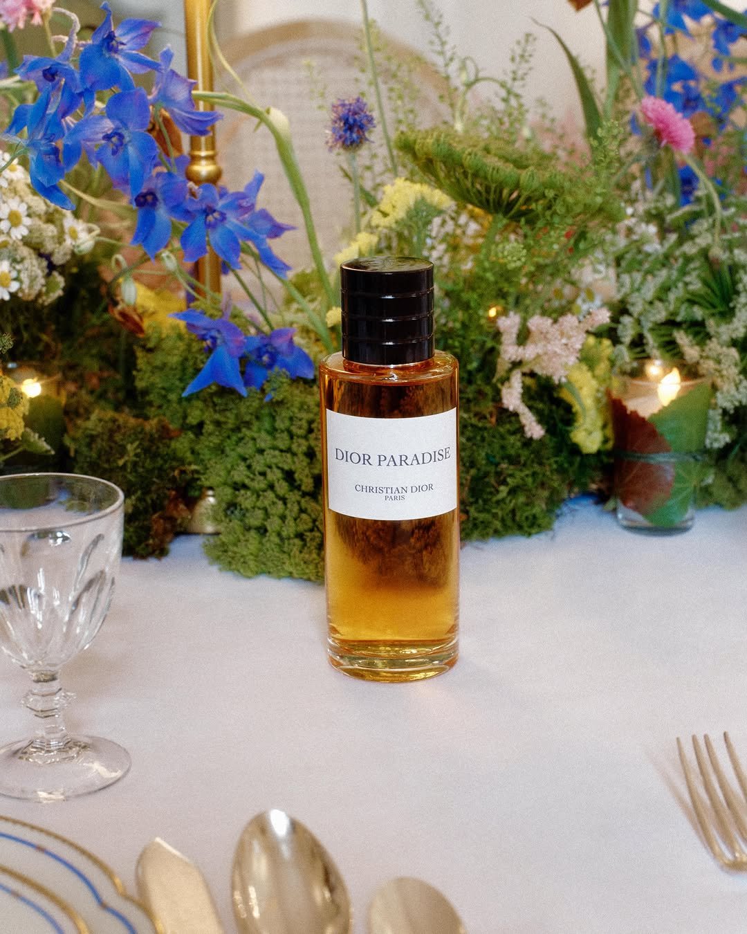 diorbeauty 게시물 이미지: House friends gathered at La Colle Noire...