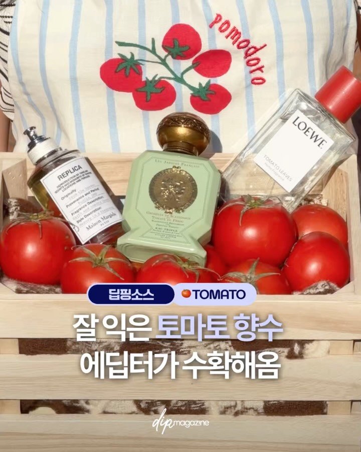 dip_magazine 게시물 이미지: [#딥핑소스] 🍅 토마토 향수 직접 뿌려 봤어요! 

토마토 먹는 건 익숙하지만...