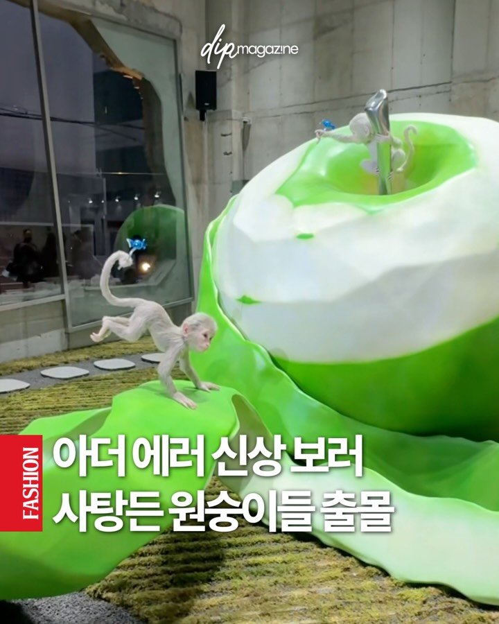 dip_magazine 게시물 이미지: 캔디처럼 달콤한 아더 에러 26ss 컬렉션🍭

아더에러의 2026 S/S 메인...