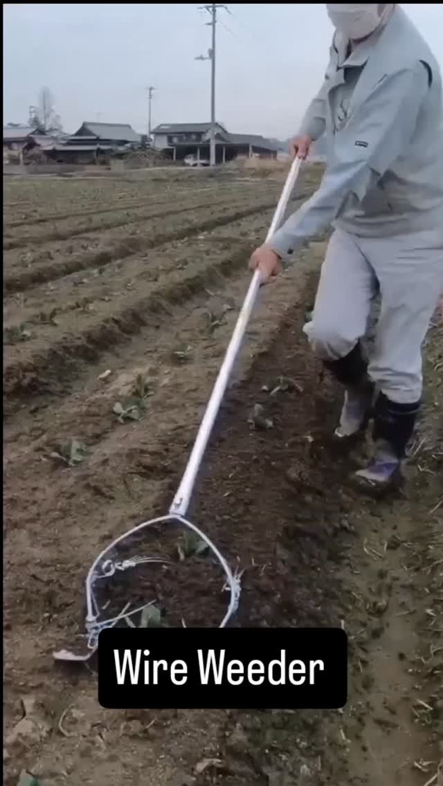 discoveragriculture 게시물 이미지: Smart Weeding Without Damaging Crops!
This...