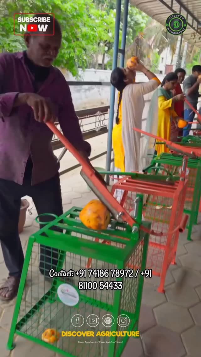 discoveragriculture 게시물 이미지: Discover the innovative tender coconut cutting...