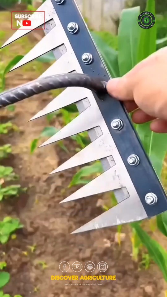 discoveragriculture 게시물 이미지: Introducing the Amazing Manual Weeding Tool, a...